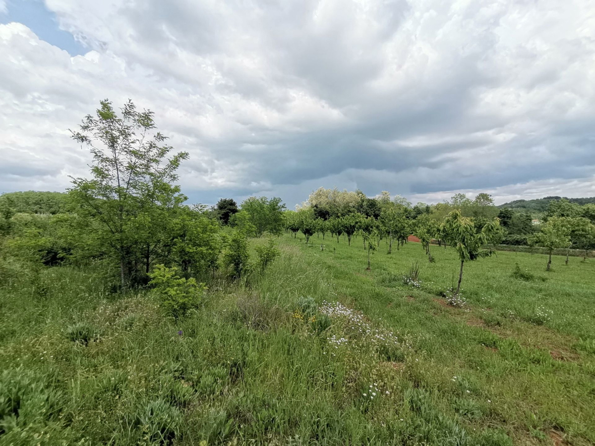 VIŽINADA