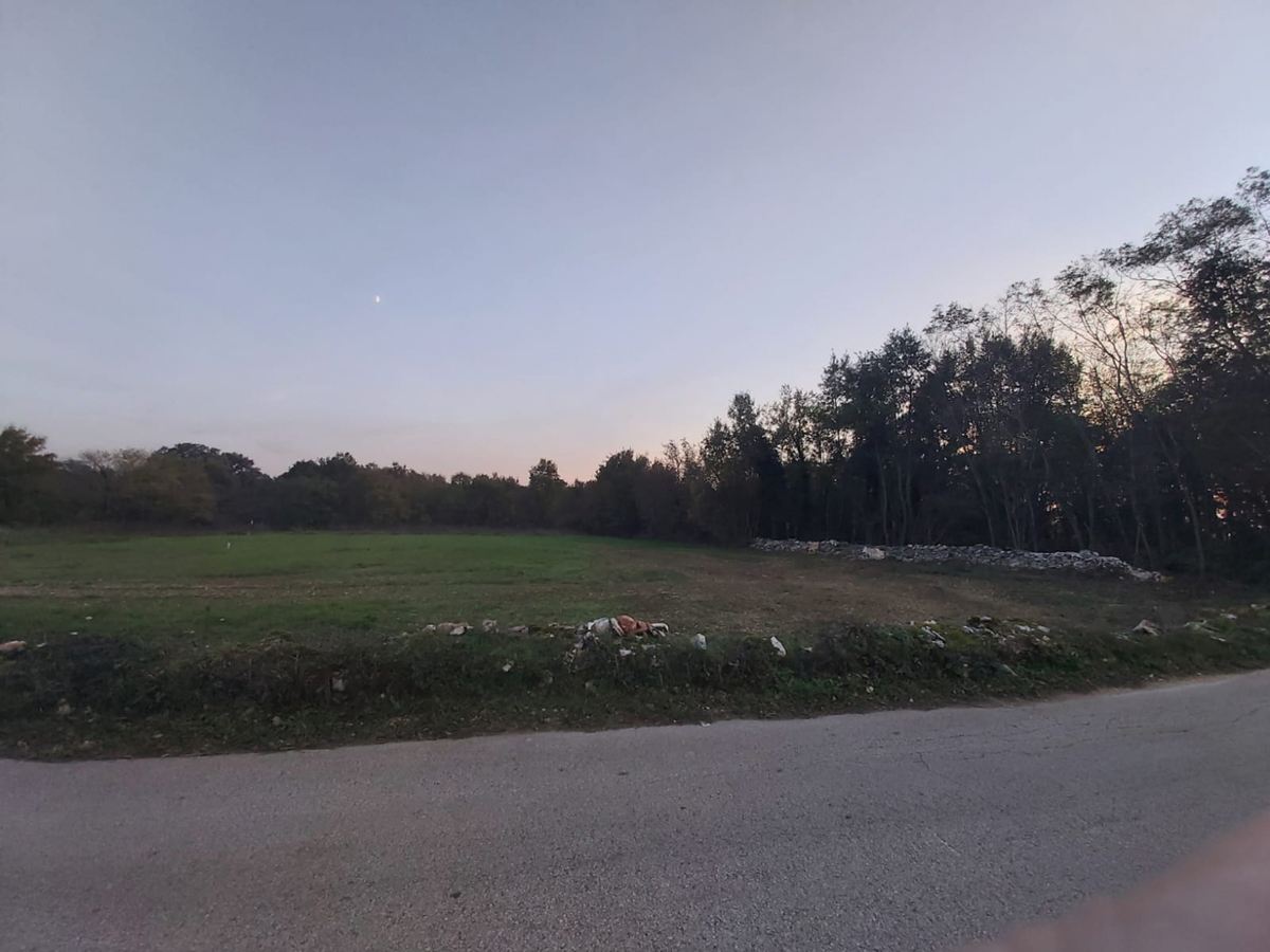 ŽMINJ