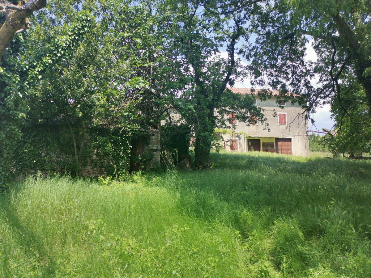 VIŽINADA