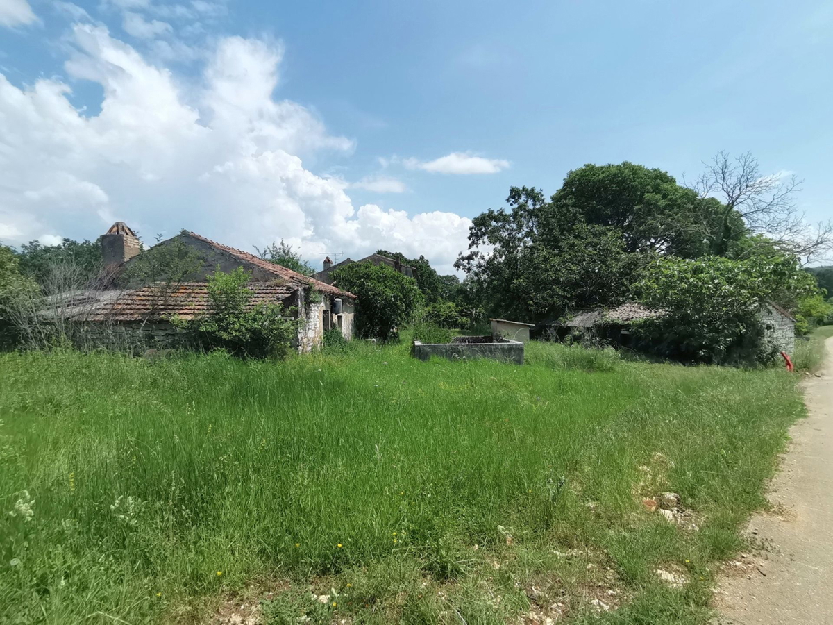 VIŽINADA