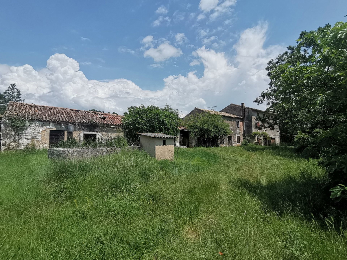 VIŽINADA