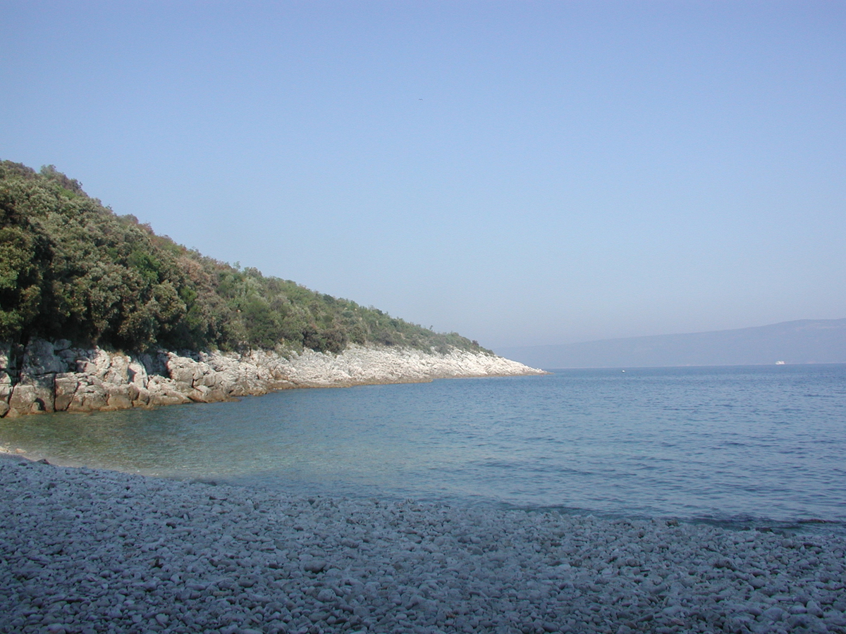 PLOMIN