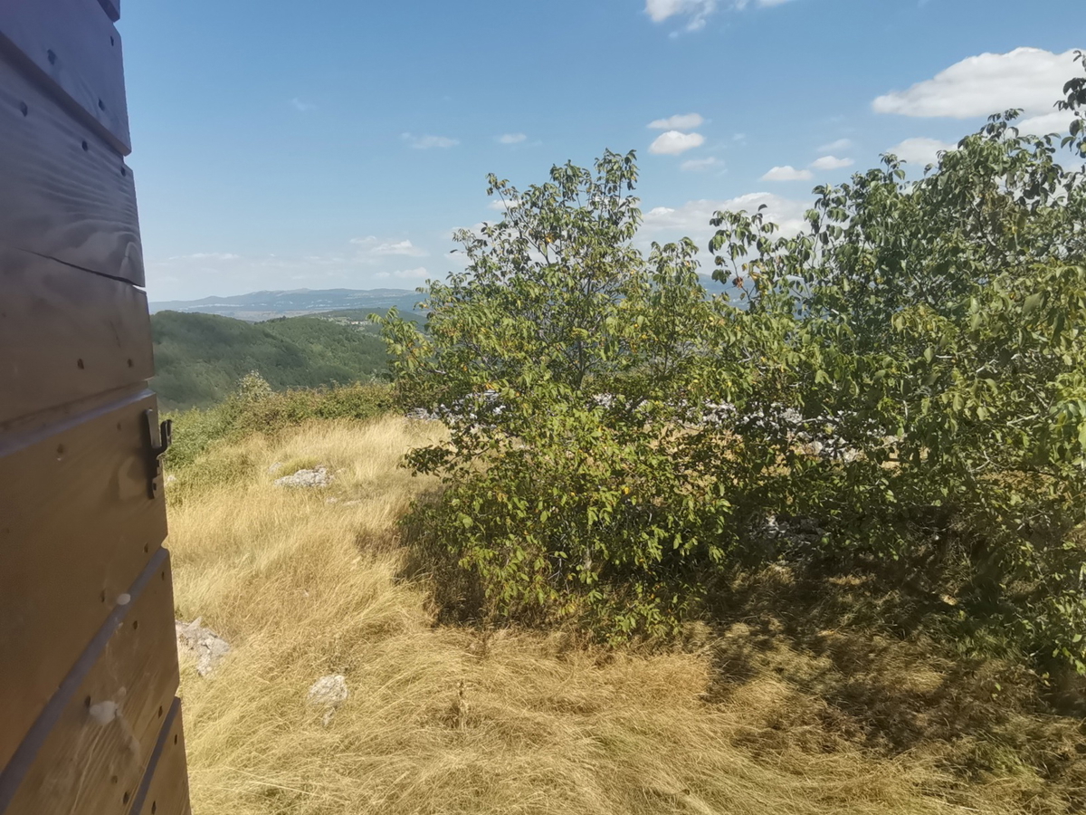 Slika nekretnine