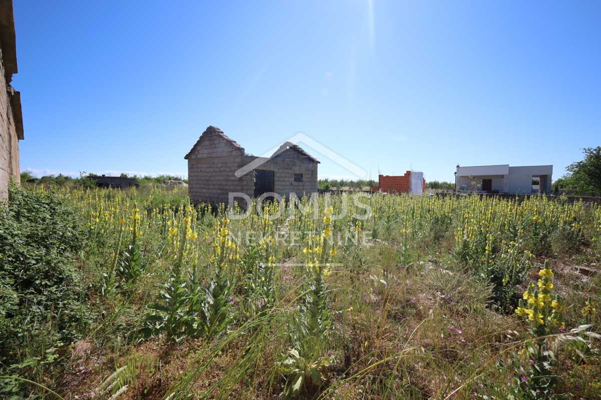 image 29