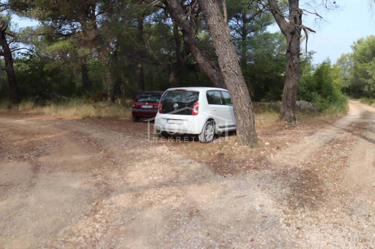 VODICE