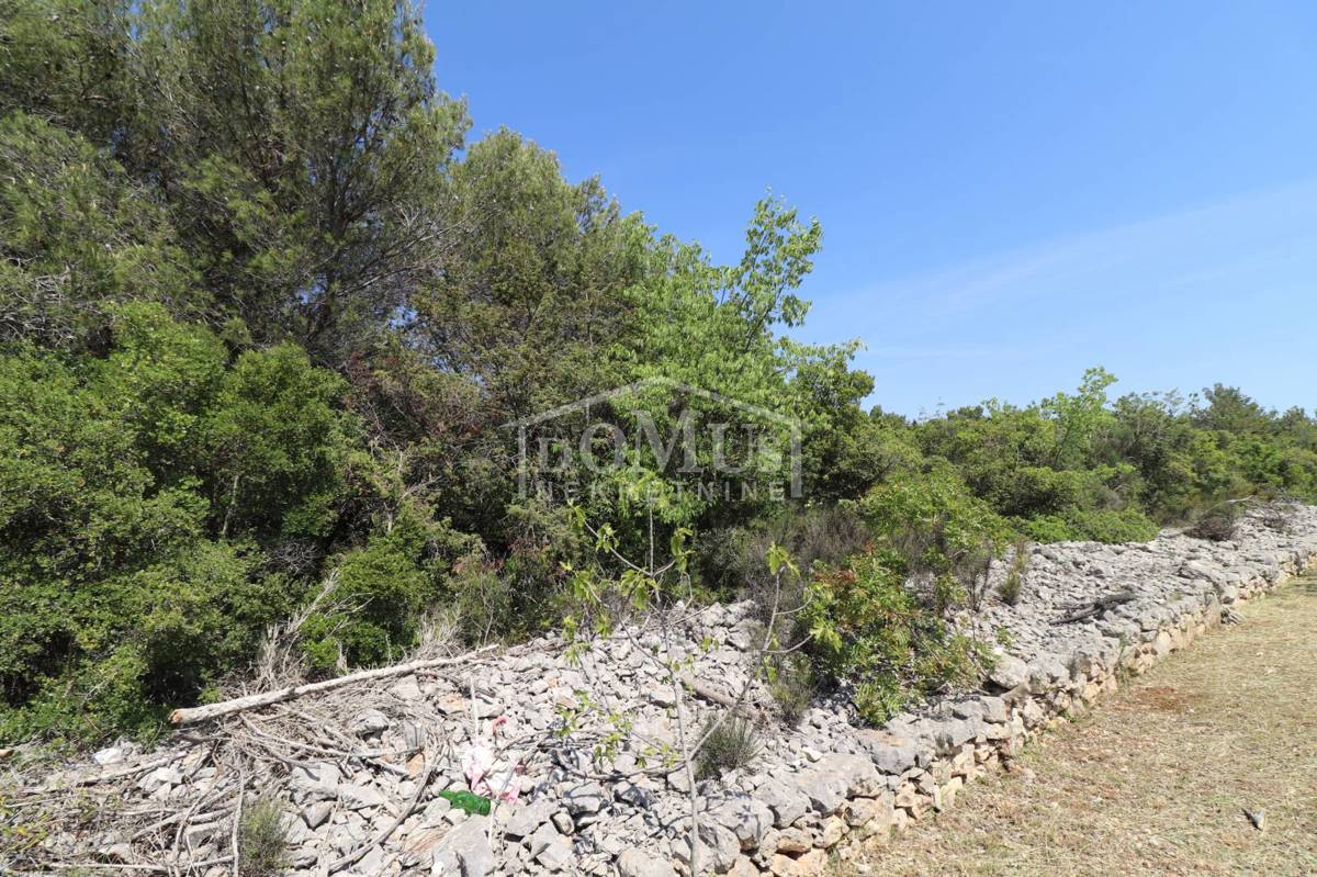 VODICE