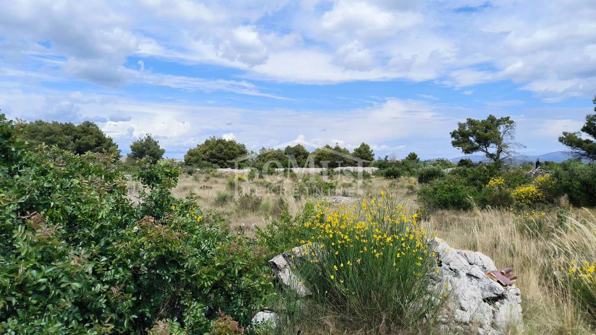 VODICE