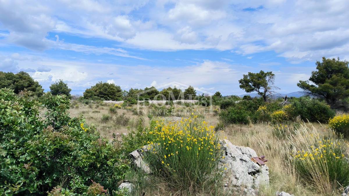 VODICE
