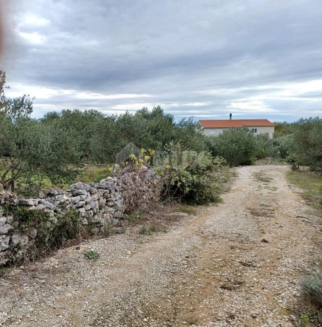 KUKLJICA