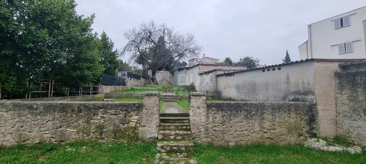 PULA