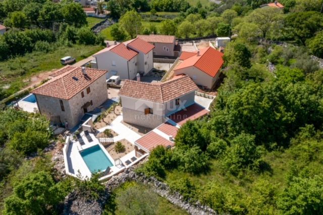 LJUTIĆI