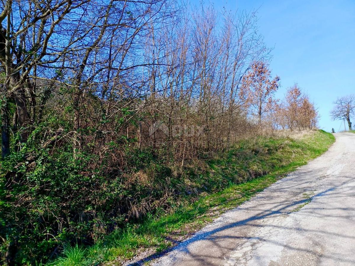 BUZET