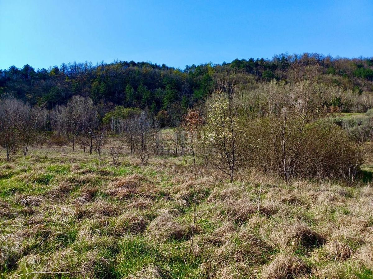 BUZET