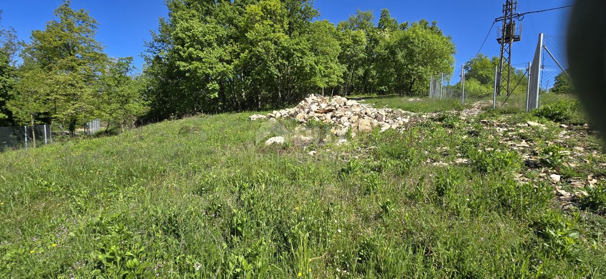 PIĆAN