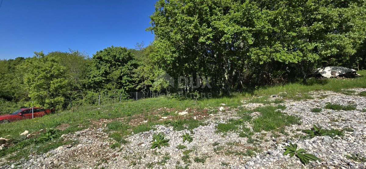 PIĆAN