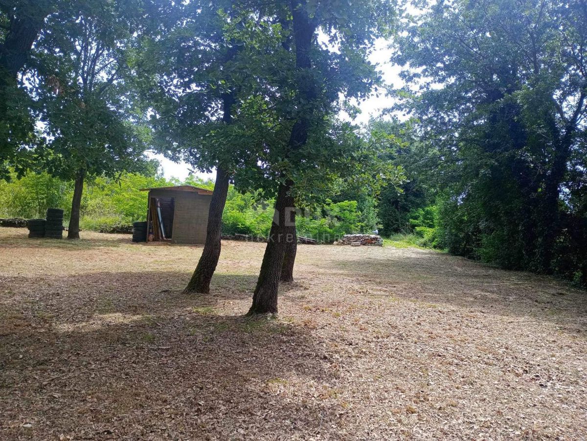 DIVŠIĆI