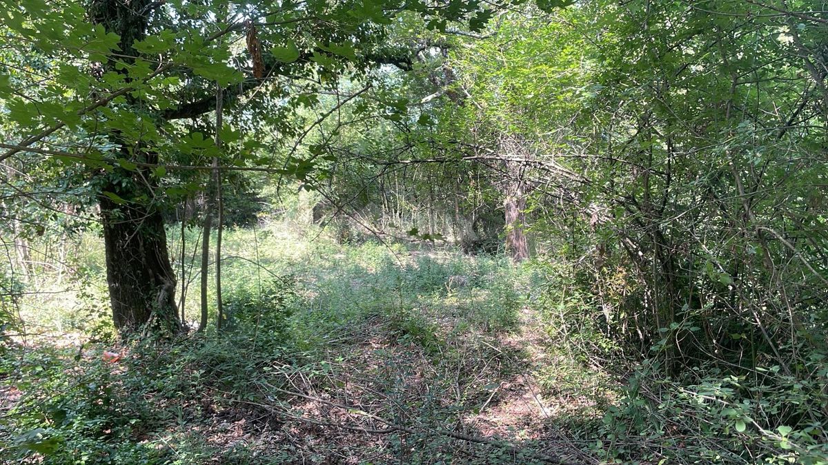 PIĆAN