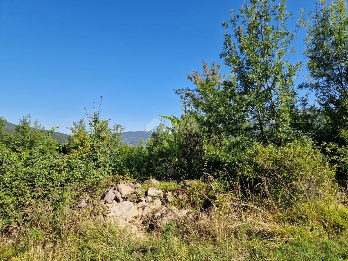 BUZET