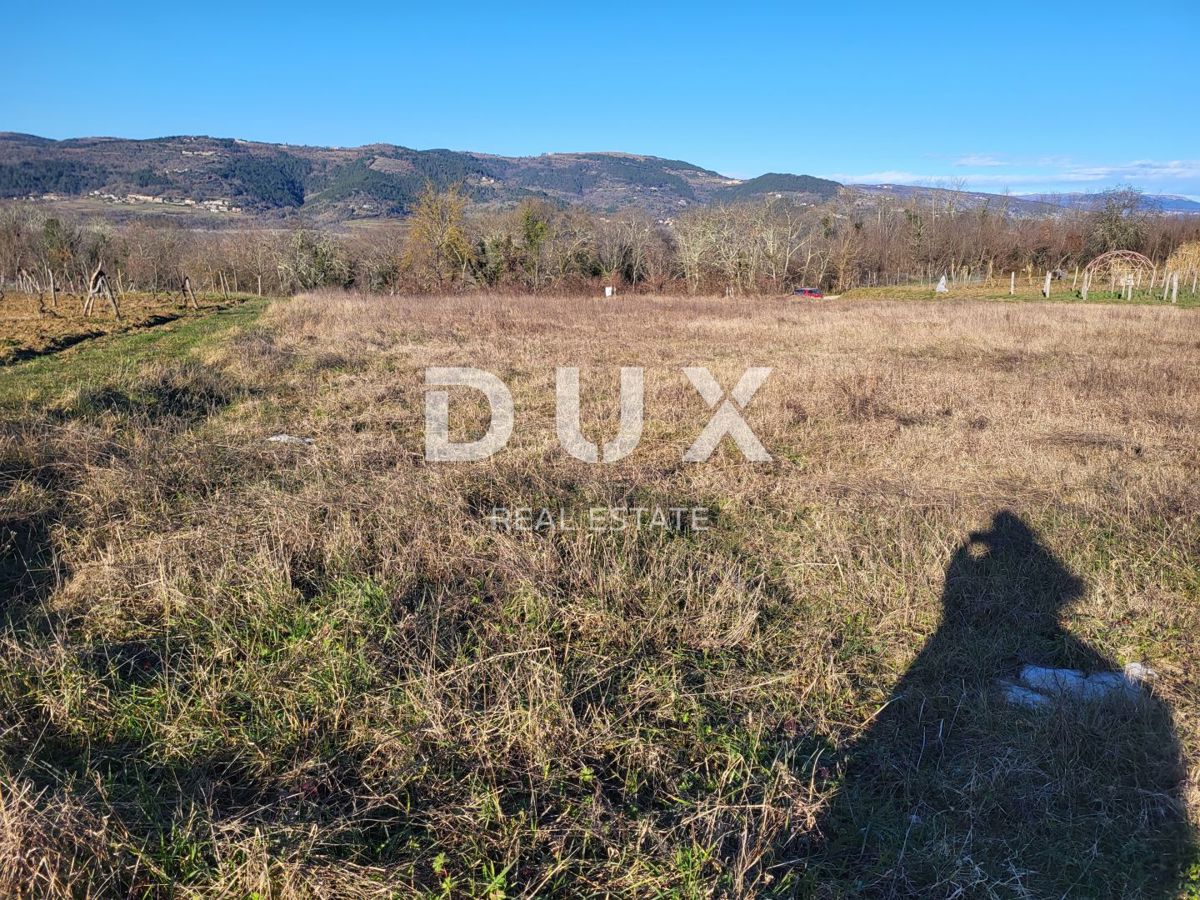 MOTOVUN