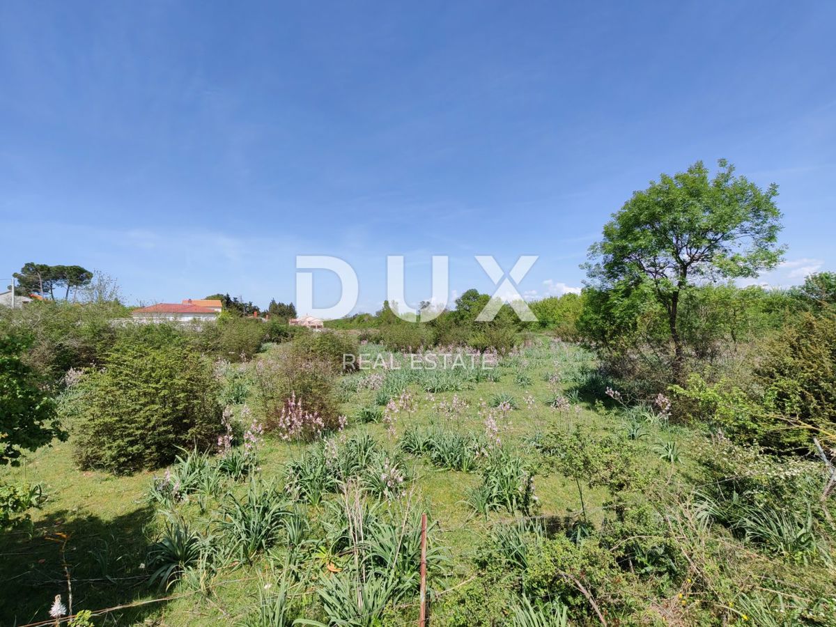 BRIŠEVO