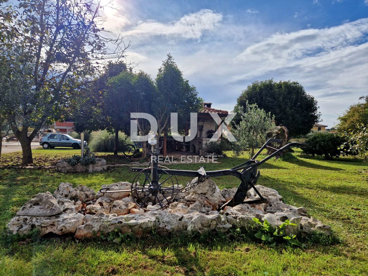 NOVIGRAD