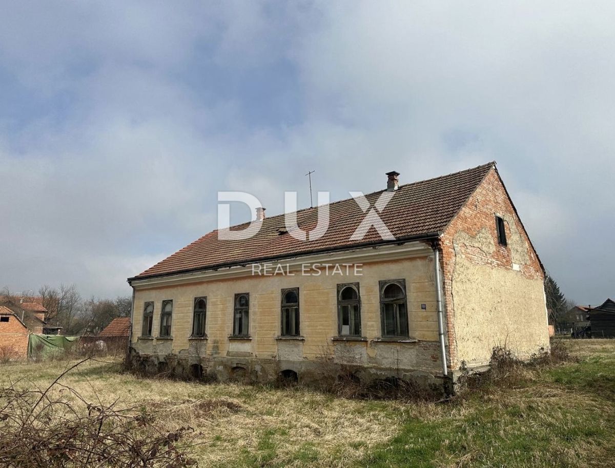 DONJA STUBICA
