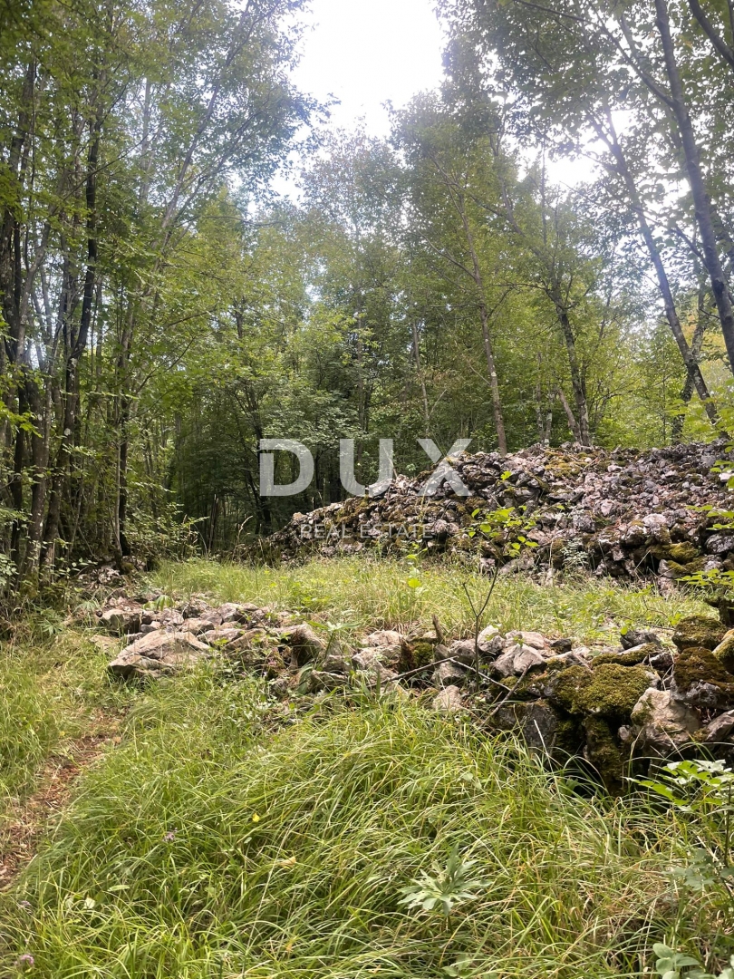 MARČELJI