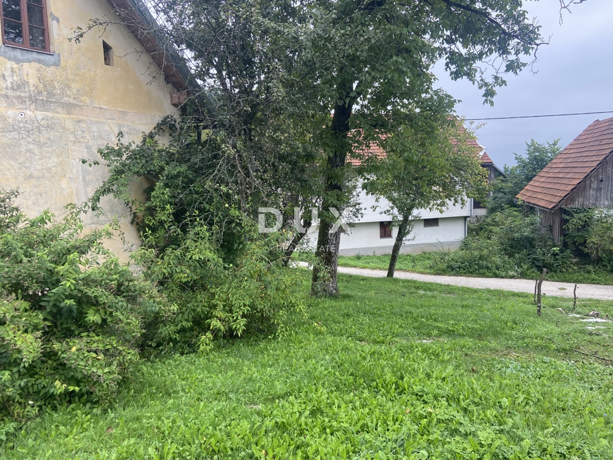 MORAVICE