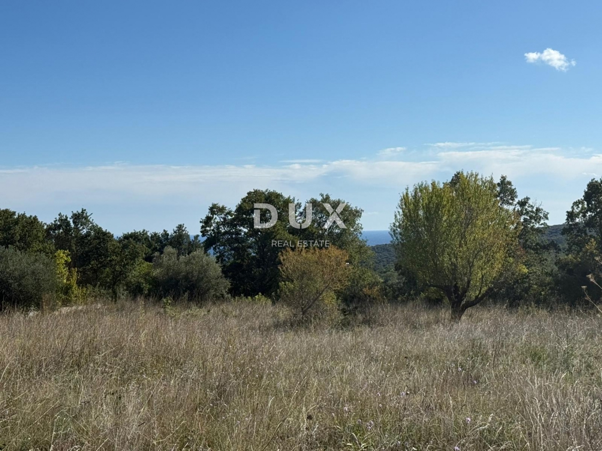 PERUŠKI