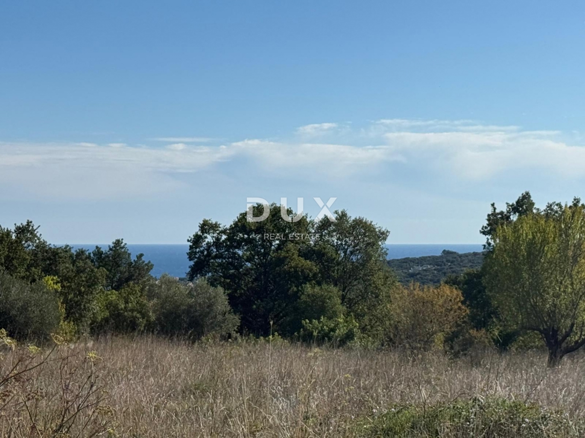 PERUŠKI
