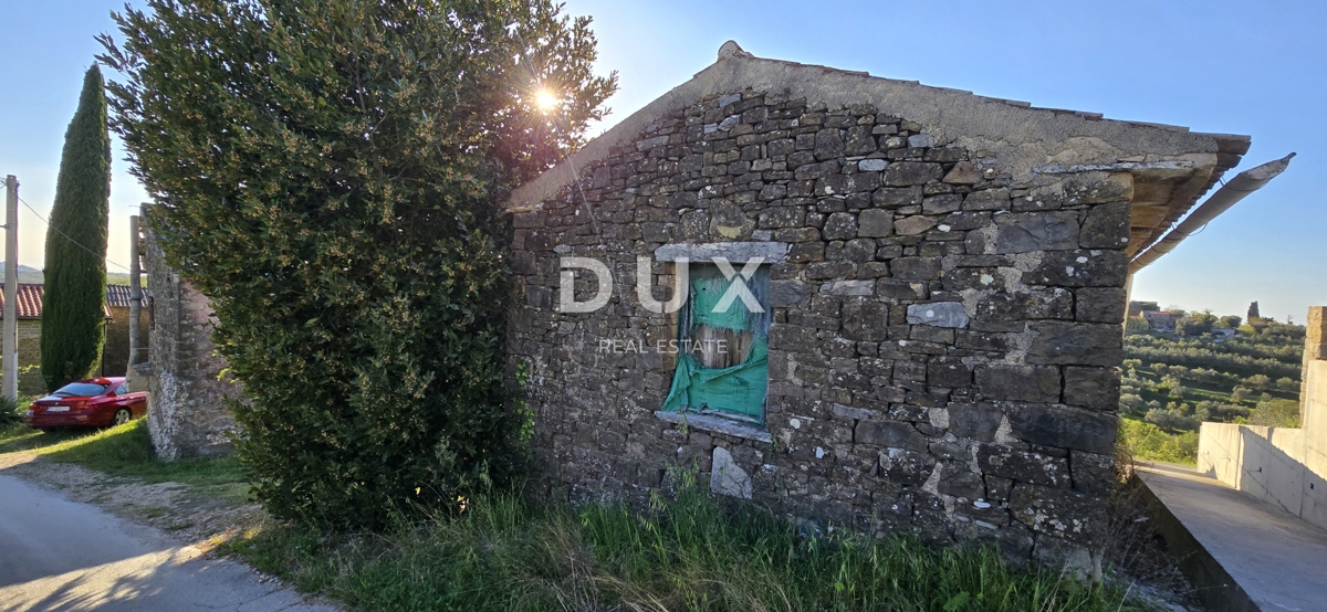 image 18