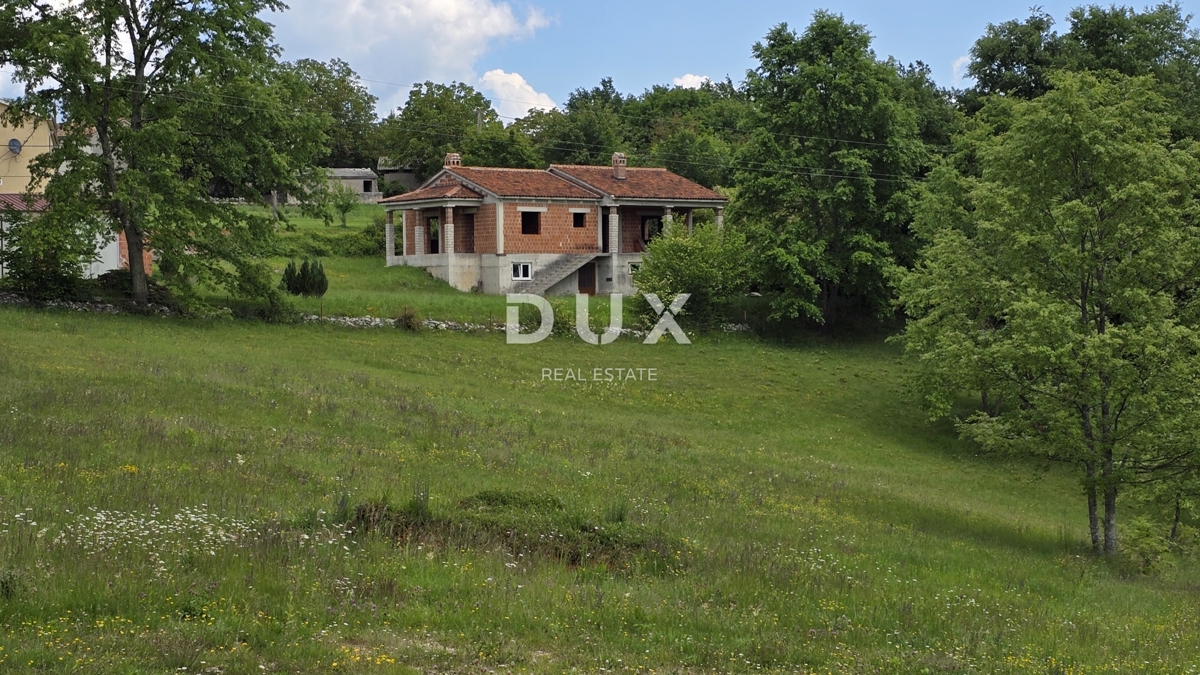 image 29