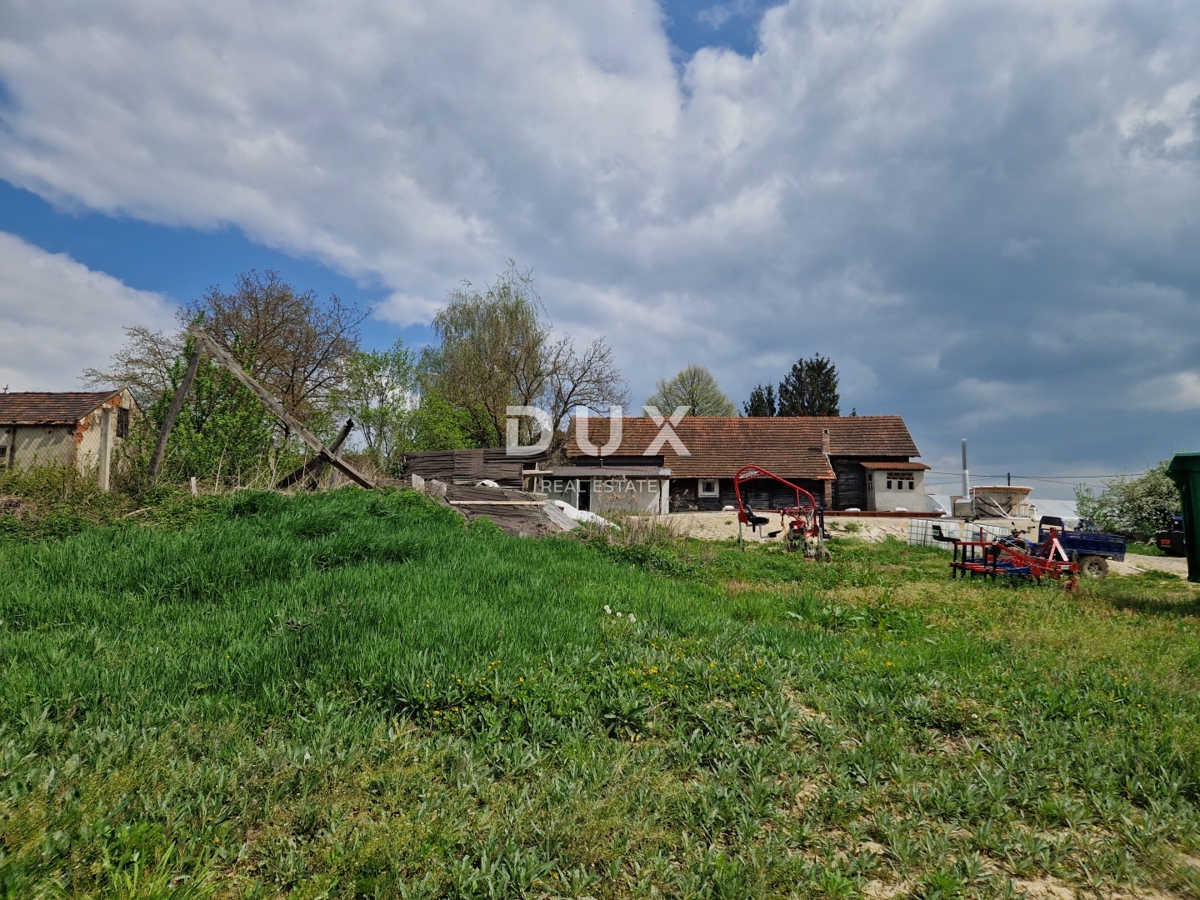 image 63