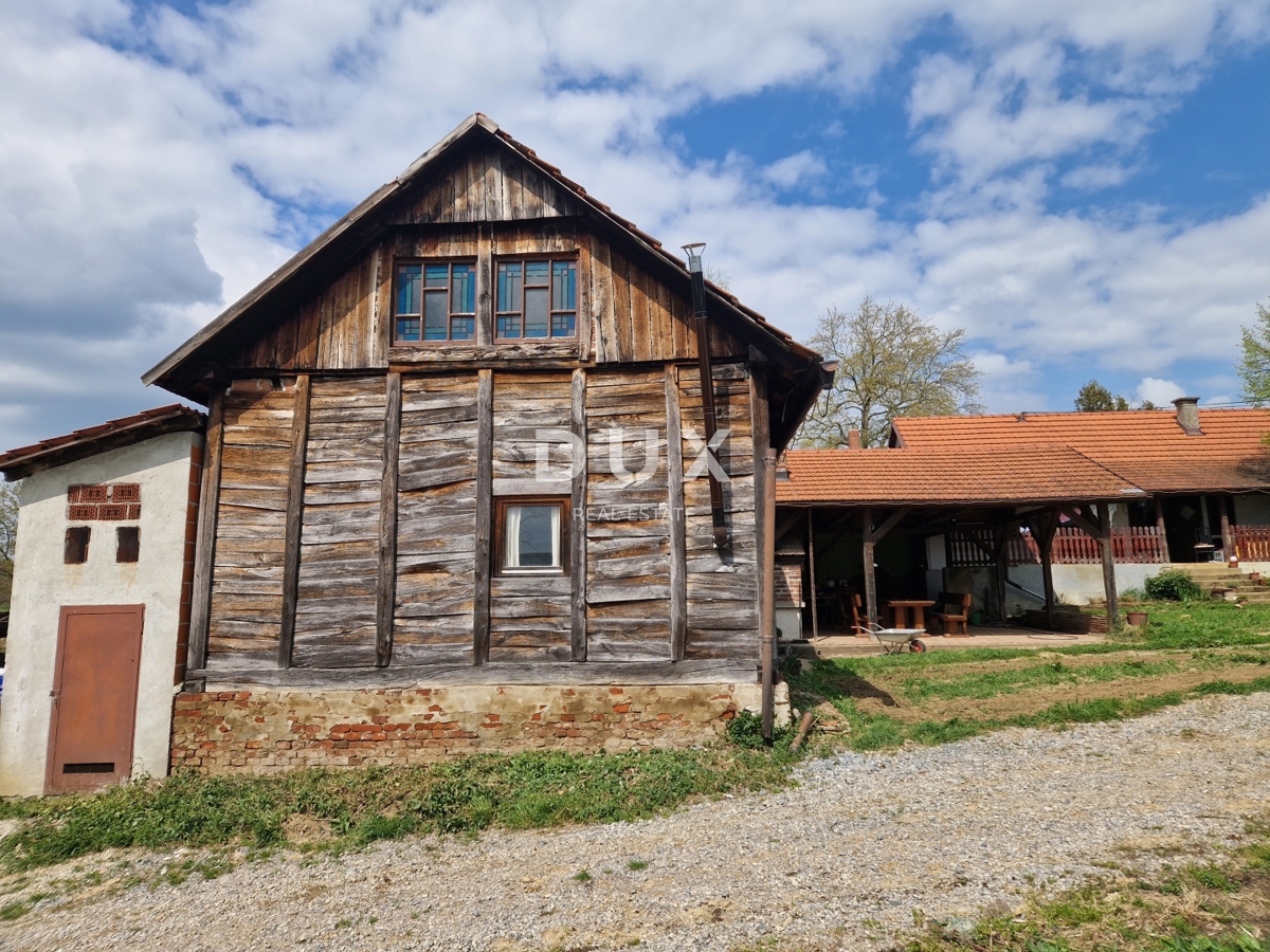 image 31