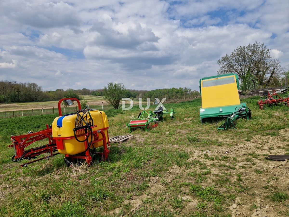 image 77