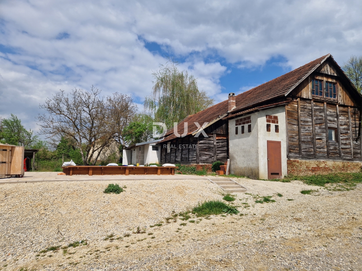 image 42