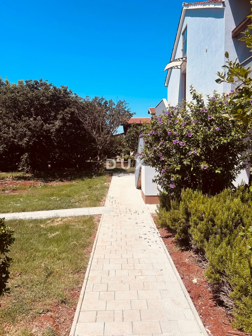 image 31