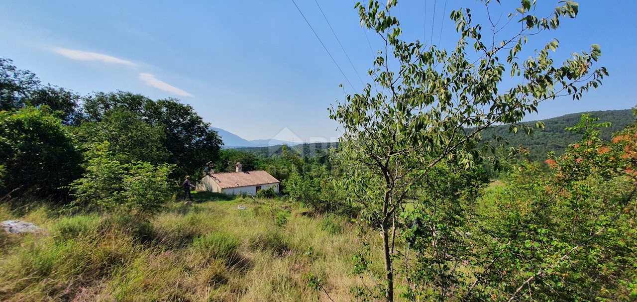 ŠUŠNJEVICA