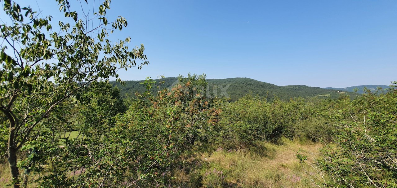 ŠUŠNJEVICA