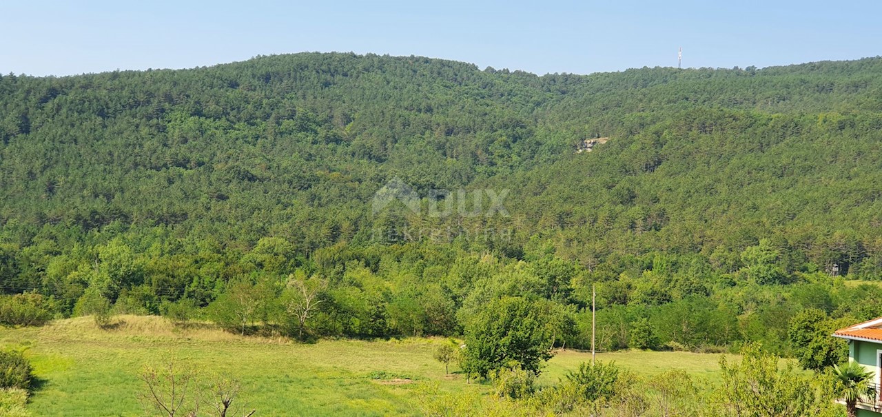 ŠUŠNJEVICA