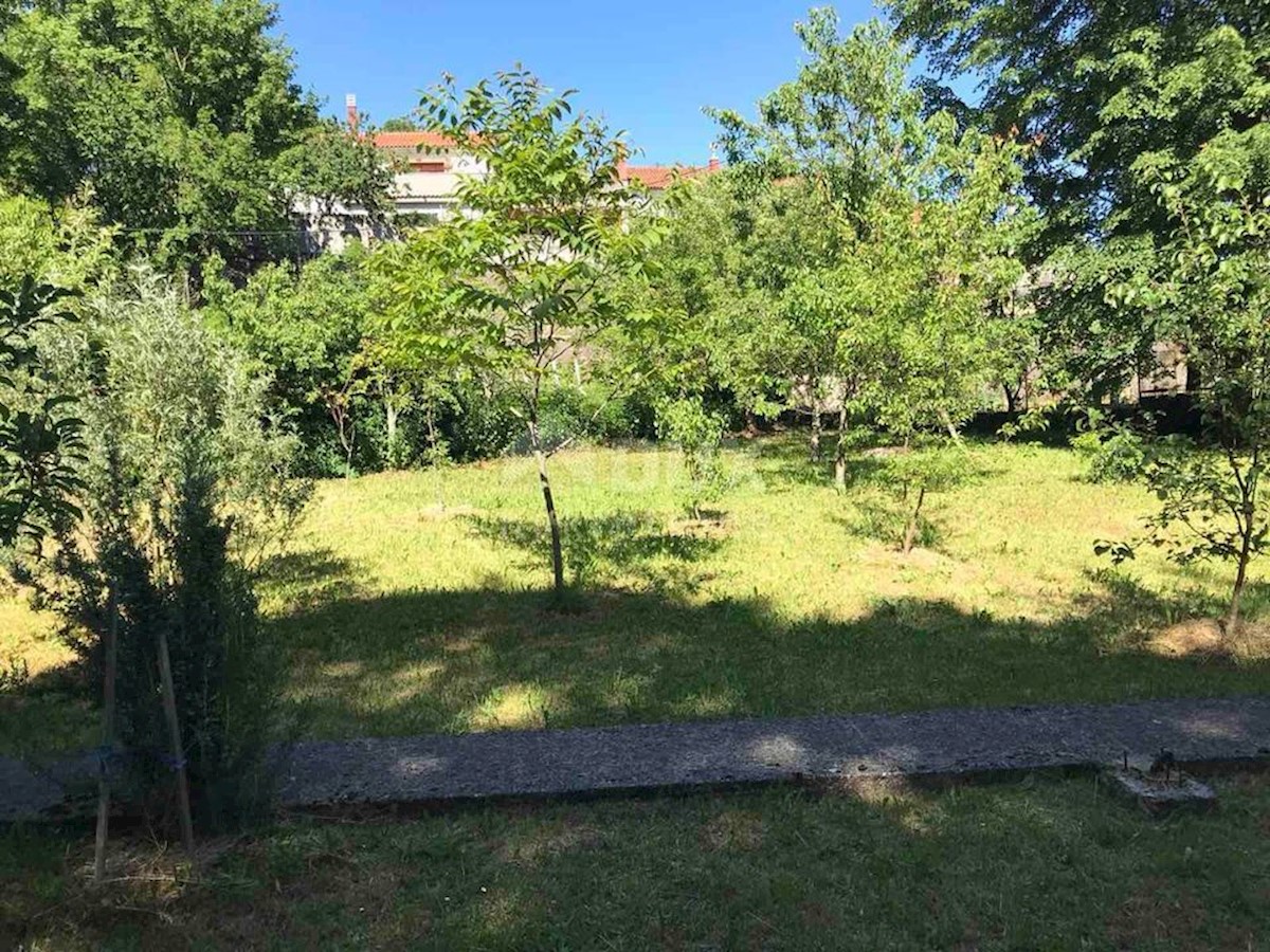 ČAVLE