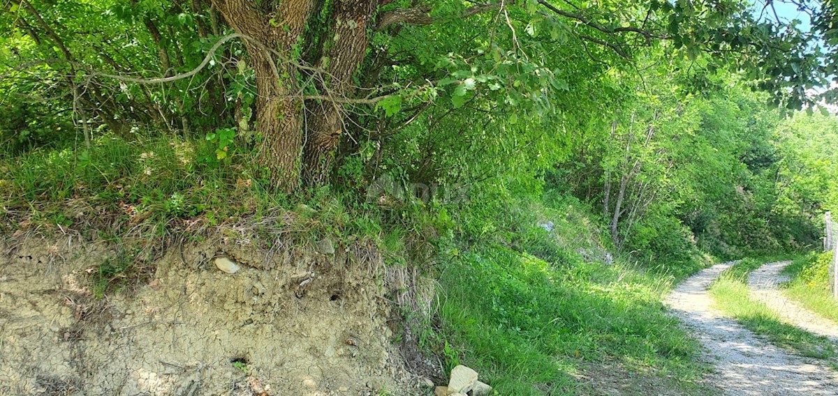 GRDOSELO