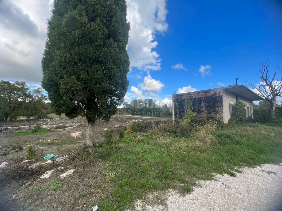 ŽMINJ