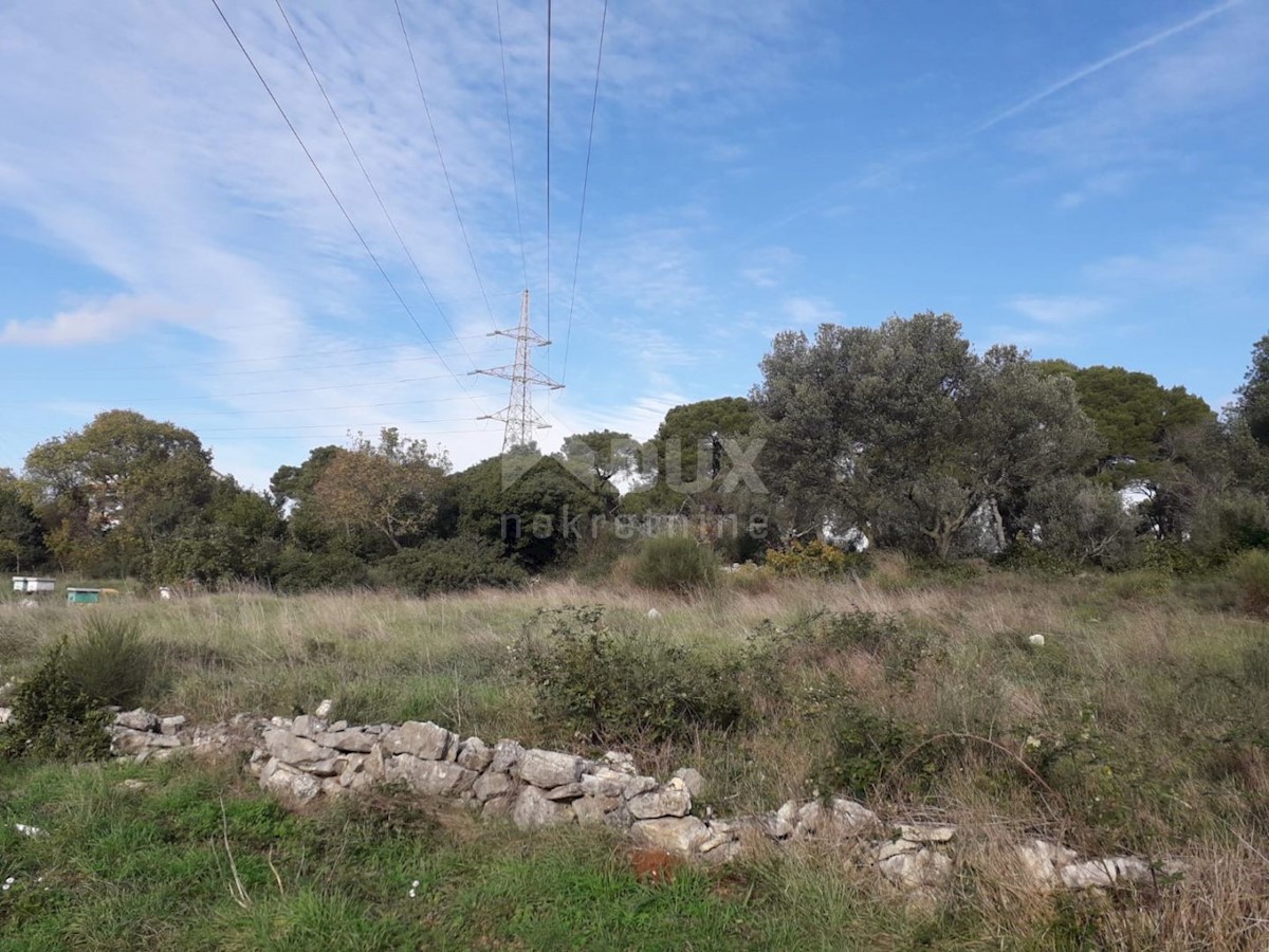 PULA