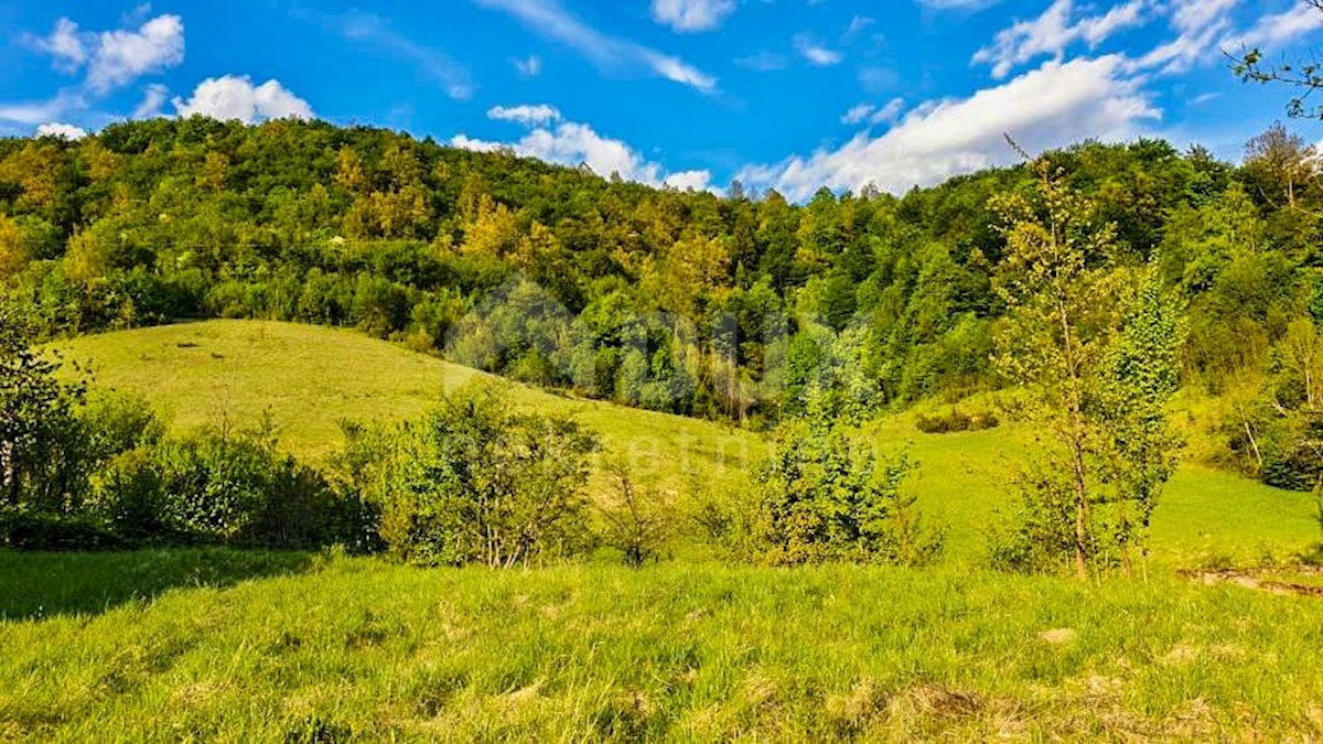 HAMBARIŠTE
