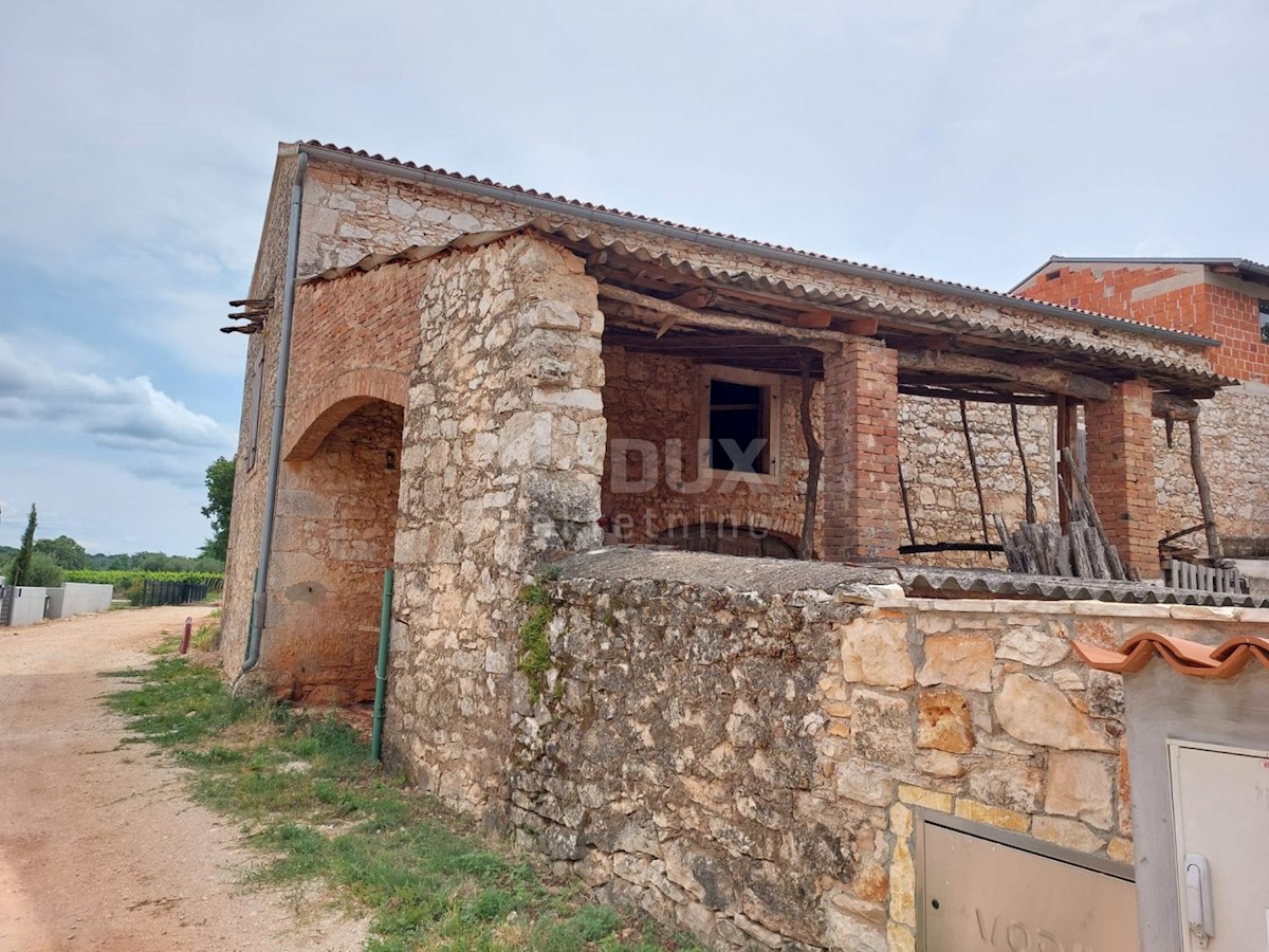 BRTONIGLA