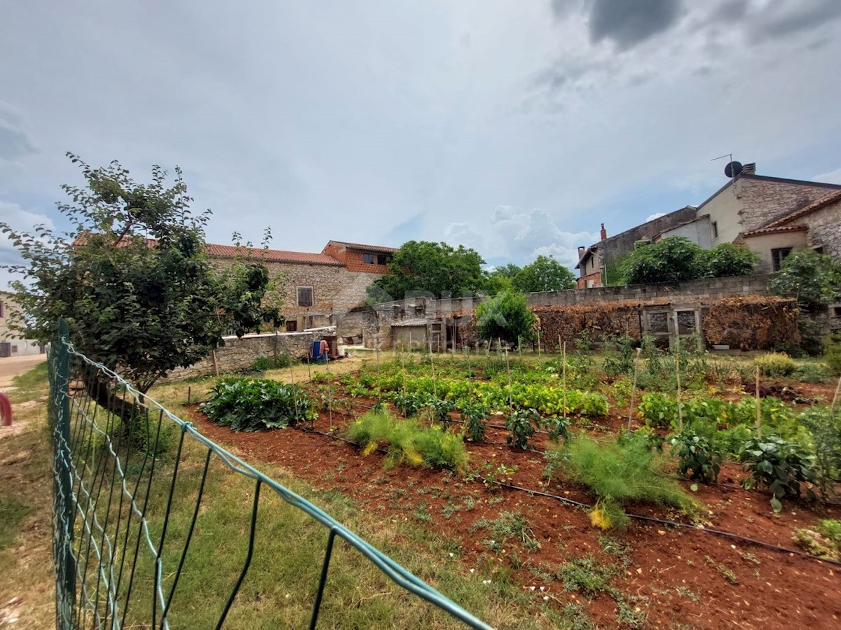 BRTONIGLA