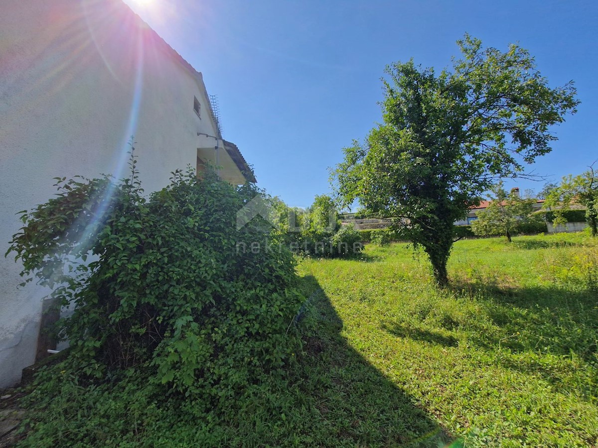 PAZIN