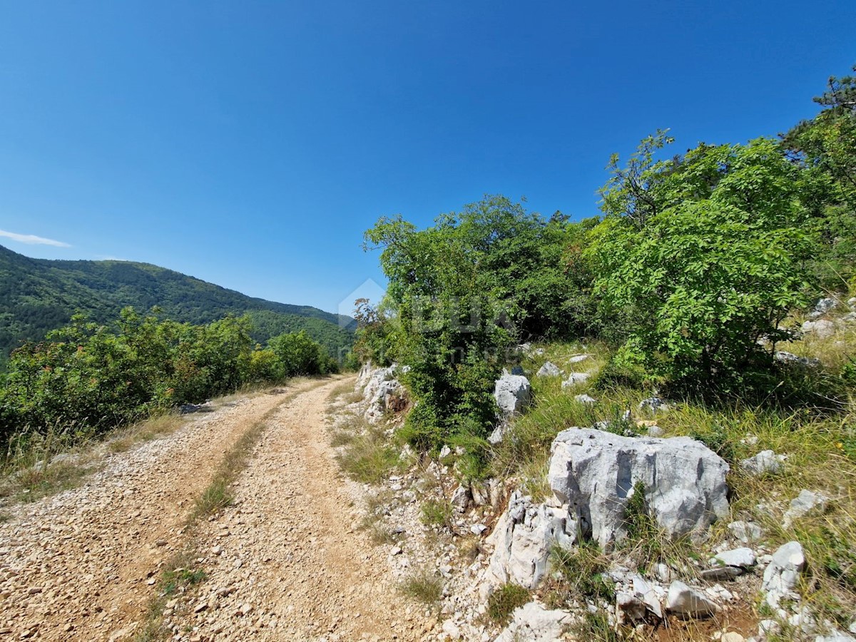 BUZET