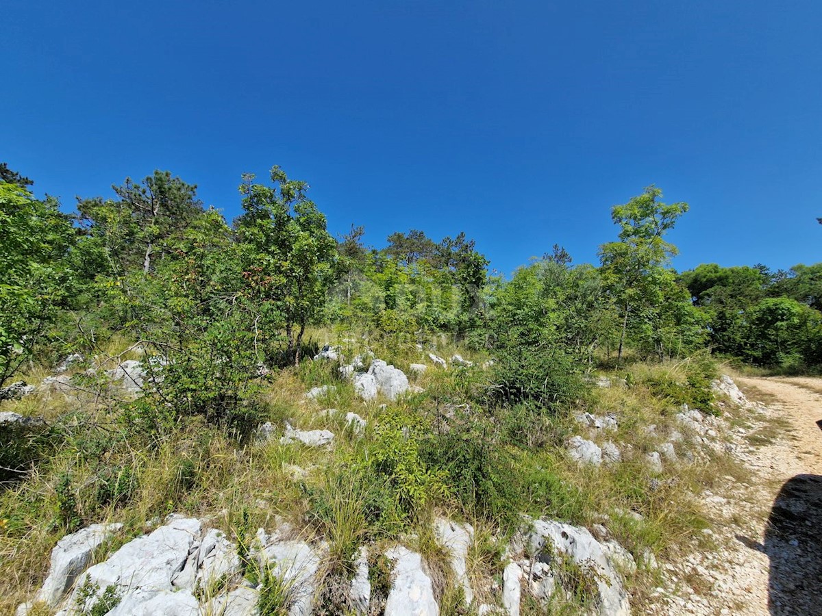 BUZET